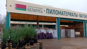 изображение_viber_2022-12-29_12-51-57-021